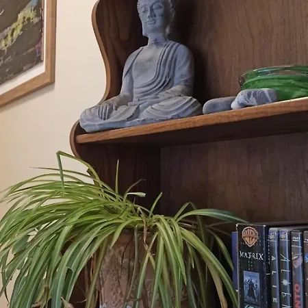 Apartment Moderno Centro *